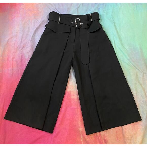 Acne Pants - Acne Studios INEZ Wool Pleated Wide Leg Cropped Culotte Pant PSS17 Black Sz 36